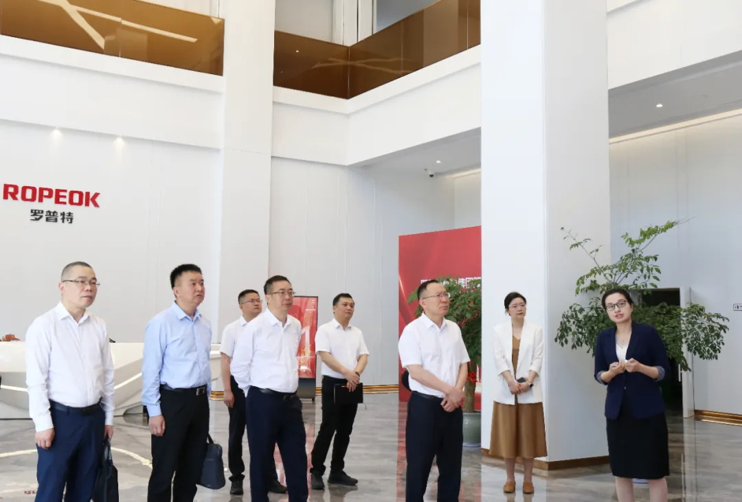 管家婆三期内必开一期